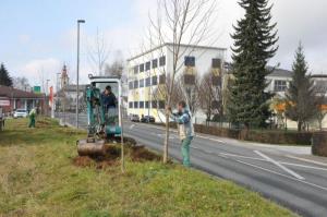 b_800_600_0_00_images_stories_Novice_2015_Podjetje_Avtotransporti_Kastelec_je_obcankam_in_obcanom_Grosuplja_podarilo_sadike_dreves_9h