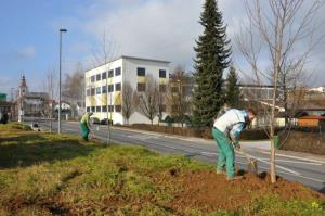 b_800_600_0_00_images_stories_Novice_2015_Podjetje_Avtotransporti_Kastelec_je_obcankam_in_obcanom_Grosuplja_podarilo_sadike_dreves_9j