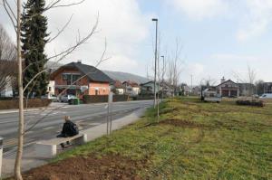 b_800_600_0_00_images_stories_Novice_2015_Podjetje_Avtotransporti_Kastelec_je_obcankam_in_obcanom_Grosuplja_podarilo_sadike_dreves_9k