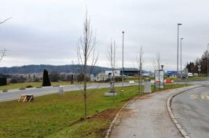 b_800_600_0_00_images_stories_Novice_2015_Podjetje_Avtotransporti_Kastelec_je_obcankam_in_obcanom_Grosuplja_podarilo_sadike_dreves_9n