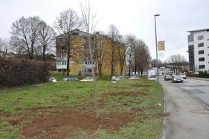 b_800_600_0_00_images_stories_Novice_2015_Podjetje_Avtotransporti_Kastelec_je_obcankam_in_obcanom_Grosuplja_podarilo_sadike_dreves_9p