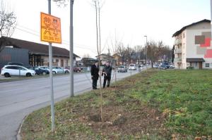 b_800_600_0_00_images_stories_Novice_2015_Podjetje_Avtotransporti_Kastelec_je_obcankam_in_obcanom_Grosuplja_podarilo_sadike_dreves_9t