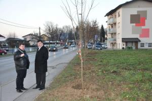 b_800_600_0_00_images_stories_Novice_2015_Podjetje_Avtotransporti_Kastelec_je_obcankam_in_obcanom_Grosuplja_podarilo_sadike_dreves_9u