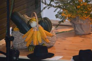 b_800_600_0_00_images_stories_Novice_2015_18._srecanje_ljudskih_pevcev_in_godcev_Fantje_po_polj_gredo_9d
