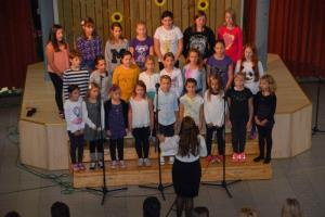 b_800_600_0_00_images_stories_Novice_2015_Prireditev_ob_40_obletnici_delovanja_Drustva_prijateljev_mladine_Smarje_Sap_9