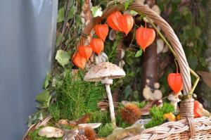 b_800_600_0_00_images_stories_Novice_2015_Razstava_gob_6