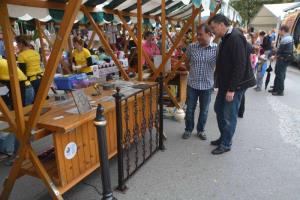 b_800_600_0_00_images_stories_Novice_2015_GROSUPLJE_V_JESENI_9d