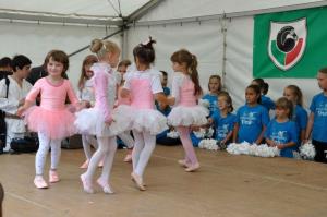 b_800_600_0_00_images_stories_Novice_2015_GROSUPLJE_V_JESENI_9o