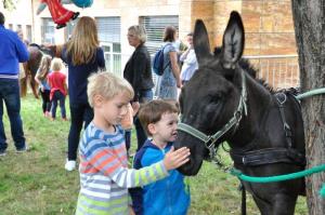 b_800_600_0_00_images_stories_Novice_2015_GROSUPLJE_V_JESENI_9zd