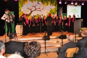 b_800_600_0_00_images_stories_Novice_2015_Slavnostna_akademija_ob_obcinskem_prazniku_in_praznovanje_20_let_obcine_Grosuplje_9e