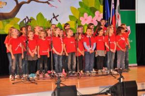 b_800_600_0_00_images_stories_Novice_2015_Slavnostna_akademija_ob_obcinskem_prazniku_in_praznovanje_20_let_obcine_Grosuplje_9f