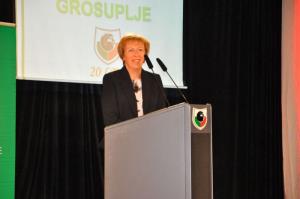 b_800_600_0_00_images_stories_Novice_2015_Slavnostna_akademija_ob_obcinskem_prazniku_in_praznovanje_20_let_obcine_Grosuplje_9n