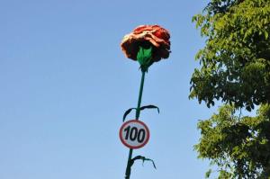 b_800_600_0_00_images_stories_Novice_2015_Antonija_Perovsek_praznovala_100._rojstni_dan_9c