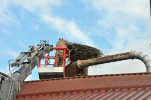 b_800_600_0_00_images_stories_Novice_2015_Nov_gnezditveni_podstavek_za_se_en_par_storkelj_9c