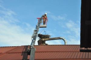 b_800_600_0_00_images_stories_Novice_2015_Nov_gnezditveni_podstavek_za_se_en_par_storkelj_9f