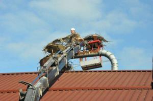 b_800_600_0_00_images_stories_Novice_2015_Nov_gnezditveni_podstavek_za_se_en_par_storkelj_9h