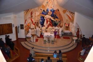 b_800_600_0_00_images_stories_Novice_2015_Blagoslov_Marijinega_kipa_v_zupnijski_cerkvi_Grosuplje_7