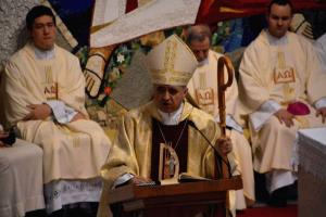 b_800_600_0_00_images_stories_Novice_2015_Blagoslov_Marijinega_kipa_v_zupnijski_cerkvi_Grosuplje_9b