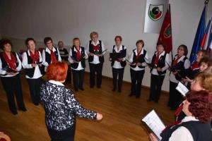 b_800_600_0_00_images_stories_Novice_2015_Obcni_zbor_Drustva_upokojencev_Grosuplje_v_letu_2015_9l