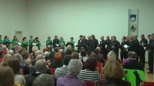 b_800_600_0_00_images_stories_Novice_2014_Bozicni_koncert_v_Grosupljem_3