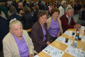 b_800_600_0_00_images_stories_Novice_2014_Kulturno_druzabno_srecanje_upokojencev_in_drugih_starejsih_treh_obcin_9b