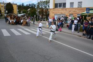 b_800_600_0_00_images_stories_Novice_2014_Grosuplje_v_jeseni_2014_9o