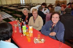 b_800_600_0_00_images_stories_Novice_2014_Srecanje_clanic_Gasilske_zveze_Grosuplje_6