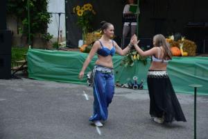 b_800_600_0_00_images_stories_Novice_2014_Srecanje_clanic_Gasilske_zveze_Grosuplje_9i