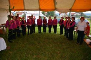 b_800_600_0_00_images_stories_Novice_2014_20_obletnica_delovanja_Strojnega_krozka_Kmetovalec_9c
