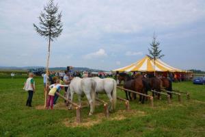 b_800_600_0_00_images_stories_Novice_2014_20_obletnica_delovanja_Strojnega_krozka_Kmetovalec_9k