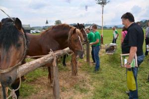 b_800_600_0_00_images_stories_Novice_2014_20_obletnica_delovanja_Strojnega_krozka_Kmetovalec_9o