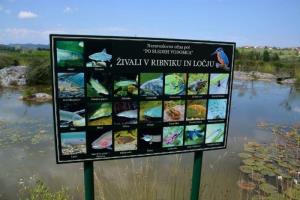 b_800_600_0_00_images_stories_Novice_2014_Otvoritev_Naravoslovne_ucne_poti_PO_SLEDEH_VODOMCA_v_Logu_pod_vasjo_Cerovo_9d