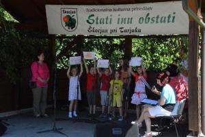 b_800_600_0_00_images_stories_Novice_2014_18._tradicionalna_kulturna_prireditev_Stati_inu_obstati_9