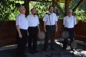 b_800_600_0_00_images_stories_Novice_2014_18._tradicionalna_kulturna_prireditev_Stati_inu_obstati_9g