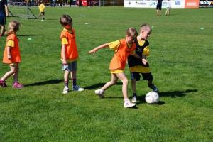 b_800_600_0_00_images_stories_Novice_2014_Prireditev_ob_zakljucku_tekmovalne_sezone_Nogometnega_kluba_Brinje_Grosuplje_6