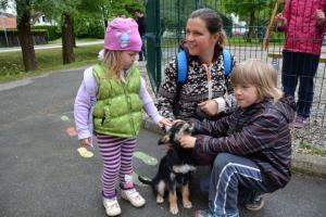 b_800_600_0_00_images_stories_Novice_2014_6._tradicionalni_pohod_Po_Rozletovi_poti_4