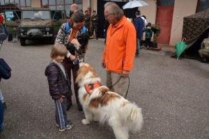 b_800_600_0_00_images_stories_Novice_2014_6._tradicionalni_pohod_Po_Rozletovi_poti_9s