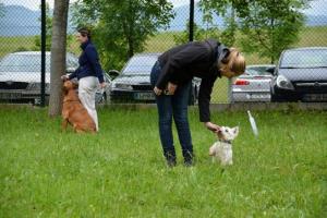 b_800_600_0_00_images_stories_Novice_2014_6._tradicionalni_pohod_Po_Rozletovi_poti_9zb