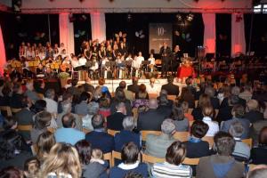 b_800_600_0_00_images_stories_Novice_2014_Slavnostni_koncert_ob_40._obletnici_Glasbene_sole_Grosuplje_9c