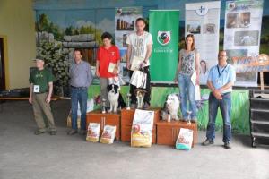 b_800_600_0_00_images_stories_Novice_2014_Drzavno_prvenstvo_psov_v_rally_obediencu_9i
