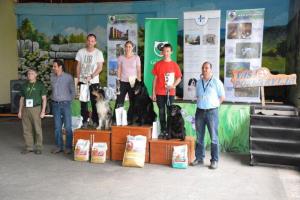 b_800_600_0_00_images_stories_Novice_2014_Drzavno_prvenstvo_psov_v_rally_obediencu_9j