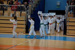 b_800_600_0_00_images_stories_Novice_2014_Drzavni_turnir_Sankukai_karate_zveze_Slovenije_za_decke_in_deklice_3
