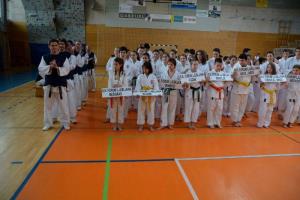 b_800_600_0_00_images_stories_Novice_2014_Drzavni_turnir_Sankukai_karate_zveze_Slovenije_za_decke_in_deklice_8