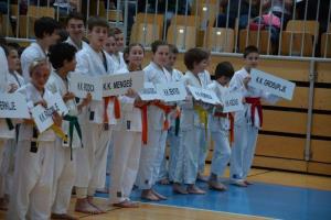 b_800_600_0_00_images_stories_Novice_2014_Drzavni_turnir_Sankukai_karate_zveze_Slovenije_za_decke_in_deklice_9a