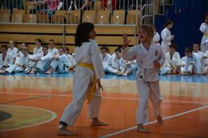 b_800_600_0_00_images_stories_Novice_2014_Drzavni_turnir_Sankukai_karate_zveze_Slovenije_za_decke_in_deklice_9d