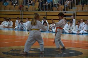 b_800_600_0_00_images_stories_Novice_2014_Drzavni_turnir_Sankukai_karate_zveze_Slovenije_za_decke_in_deklice_9e