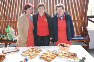 b_800_600_0_00_images_stories_Novice_2014_Velikonocni_sejem_na_Grajskem_vrtu_Bostanj_9h