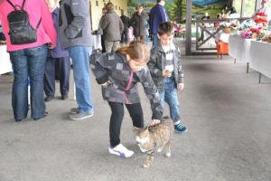 b_800_600_0_00_images_stories_Novice_2014_Velikonocni_sejem_na_Grajskem_vrtu_Bostanj_9zc