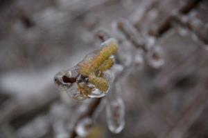 b_800_600_0_00_images_stories_Novice_2014_Obvestilo_o_stanju_na_cestah_2