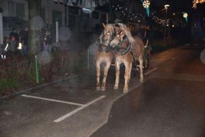 b_800_600_0_00_images_stories_Novice_2013_Silvestrovanje_2013_9a